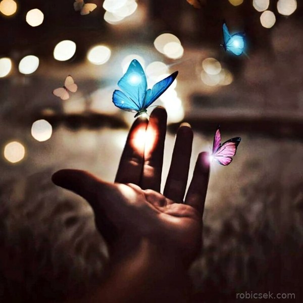 WhatsApp DP images